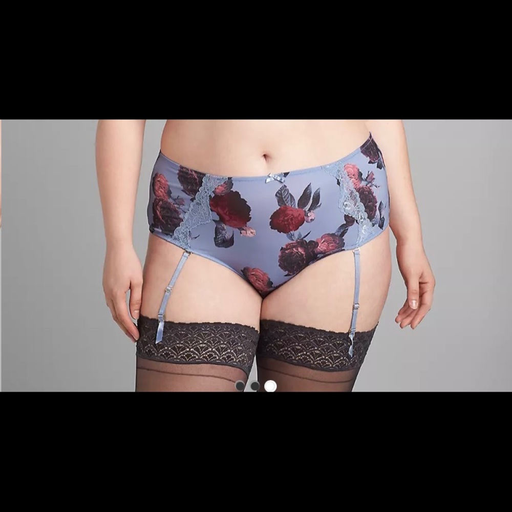 Land Bryant MIDI Cheeky Garter Panty NWT